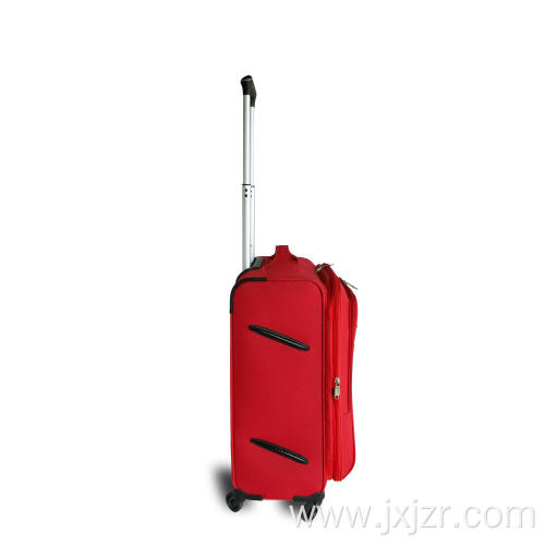 Carry On 4-Wheel Spinner Luggage